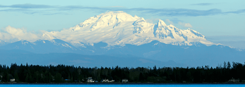 Search Whatcomresources